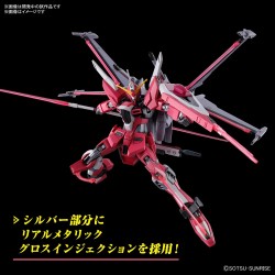 PREVENTA - HG 1/144 INFINITE JUSTICE GUNDAM TypeⅡ