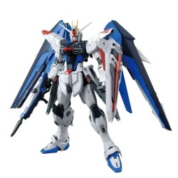 MG 1/100 FREEDOM GUNDAM Ver.2.0
