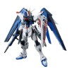 MG 1/100 FREEDOM GUNDAM Ver.2.0