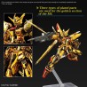 RG 1/144 AKATSUKI GUNDAM OOWASHI unit