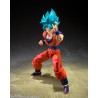 S.H.Figuarts SSGSS SON GOKU - BLUE POWER TRANSCENDING LIMITS -