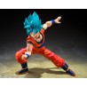 S.H.Figuarts SSGSS SON GOKU - BLUE POWER TRANSCENDING LIMITS -
