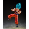 S.H.Figuarts SSGSS SON GOKU - BLUE POWER TRANSCENDING LIMITS -