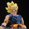 S.H.Figuarts SUPER SAIYAN SON GOKU -FIGHTER OF RAGE-