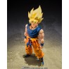 S.H.Figuarts SUPER SAIYAN SON GOKU -FIGHTER OF RAGE-