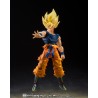S.H.Figuarts SUPER SAIYAN SON GOKU -FIGHTER OF RAGE-