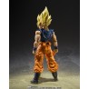 S.H.Figuarts SUPER SAIYAN SON GOKU -FIGHTER OF RAGE-